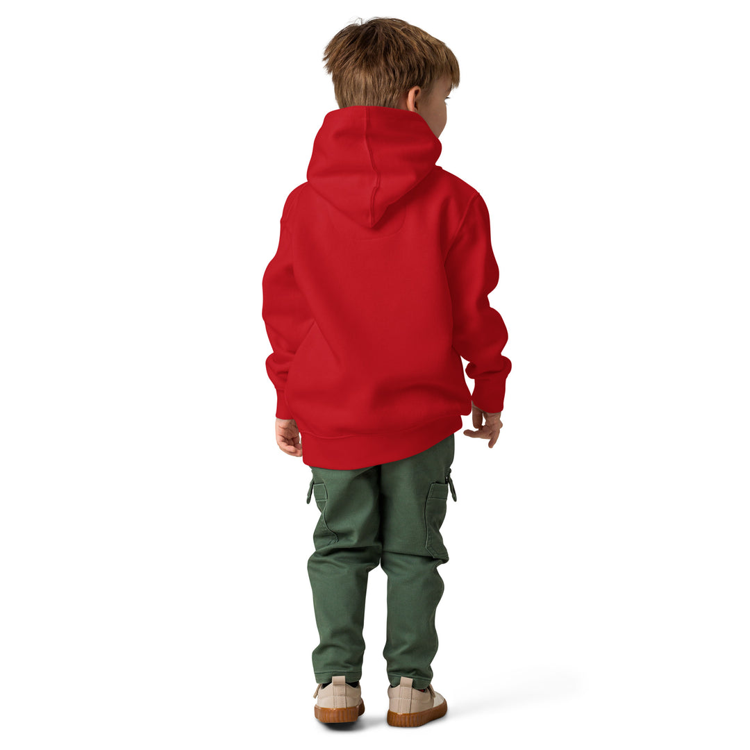 Back view of a child in a red Oddy Pro toddler fleece pullover hoodie and green pants.
