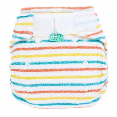 Tots Bots Bamboozle Stretch Nappy Colour: Catkin Size: Size 1 (6-18lbs) reusable nappies Earthlets